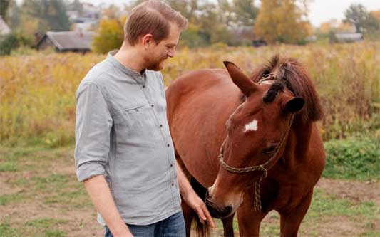 Guérisseur pour cheval